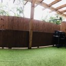 스테이독 이미지