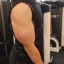 프로게이너 BCAA 글루타민 파인애플맛, 운동 전후 필수아미노산 챙기는 방법