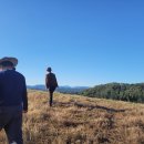 갈곡농장 이미지