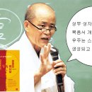 도서출판 도올
