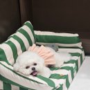 멜팅그루밍 이미지