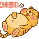관포국수 이미지