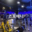 트윈PT | 구로디지털단지PT 스포애니