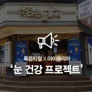 눈 옵티컬 이미지