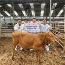 한우개량센터 이미지