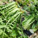 신도여인숙 이미지