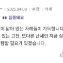 신하다방 이미지