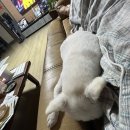 도청축사 | [2025.11.18~11.28] 기특단 폐회식, 철통 방어 그리고 소rry