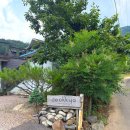 덕교 | 경남 산청 감성 숙소 추천 내돈내산 오후 3시 퇴실 가능한 덕교 에필로그