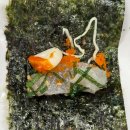 오늘막회 이미지