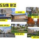 도담동_싱싱장터앞BRT 이미지