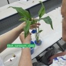 꽃사로움힐링원예