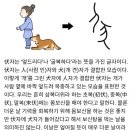 초복릴레이 개고기 수육입니다 이미지