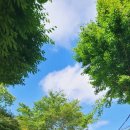 로뎅853-1 이미지