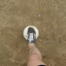 수원-0463 이미지