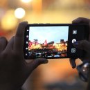 프라자 동물병원 이미지