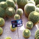 강원도립화목원 이미지