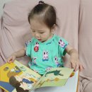 폴짝폴짝 콩콩 신나는 그림책놀이 | 유아한글교육 3세아기 언어발달 신기한한글나라 언어표현 교구후기