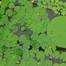 늘푸른공간 이미지