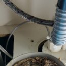 행운동-24 이미지