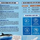 큰돌고래 화장실 | 제주 돌고래 투어, 우영우 촬영지 모슬포에서 남방큰돌고래 본 후기 ft. M1971