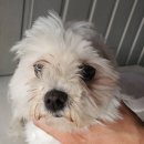 부곡파출소 이미지