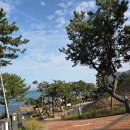 주전월남정화장실 | 울산 주전 보밑항 피크닉장 무료캠프닉 아이와가볼만한곳