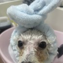 멍키매직 이미지