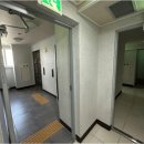 디에스더웰가 이미지