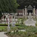 [코드엠] 벽초지수목원 가을꽃 국화축제 이미지