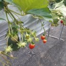 논실농장 이미지