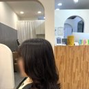 모더니컬 이미지