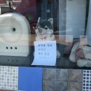 미소짐 이미지