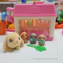 라이브펫 | 리틀라이브 펫 토끼돌보기 마마 서프라이즈 장난감