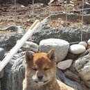봉구 이미지