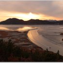 순천만습지 이미지