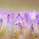 엘한의원 이미지