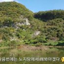 훼미리낚시터 이미지