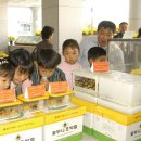 친환경곤충연구소 Daum카페