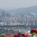 차빌부동산중개 이미지