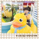 광장74호 | 수원 대형 키즈카페 추천 아기랑 오리배 광교 키즈다쿵2
