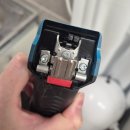 제주냐옹실 고양이미용 이미지