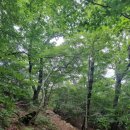 형석농장 이미지