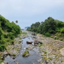 뻘떡낙지서귀포점 이미지