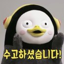 꼬모다