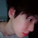 히얼퍼피 이미지