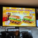 골드마인드 | 맥도날드 행운버거 골드 스페셜 컬리후라이 신메뉴 후기