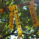 하라네일