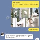 프롬더하루 웨딩스냅 키노스튜디오 실내촬영후기