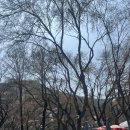 금강산흑염소전문점 | 기력 회복 제대로 되는 계양 흑염소탕 맛집 금강산흑염소전문점 내돈내산후기